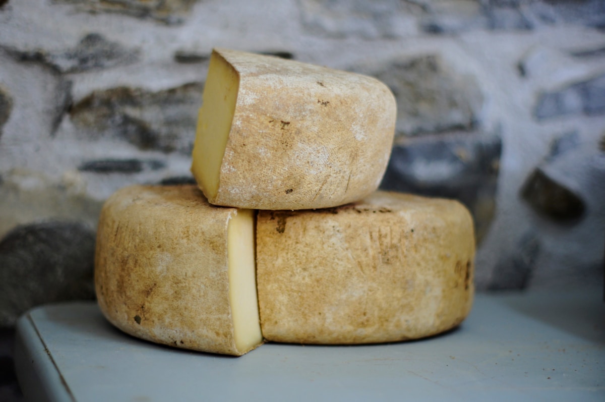 Can You Freeze Cheese? Yes — Hard Cheeses Work
